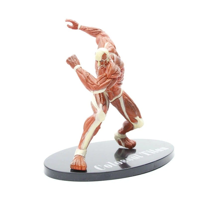 Figurine SNK Titan Colossal Royaume Figurine