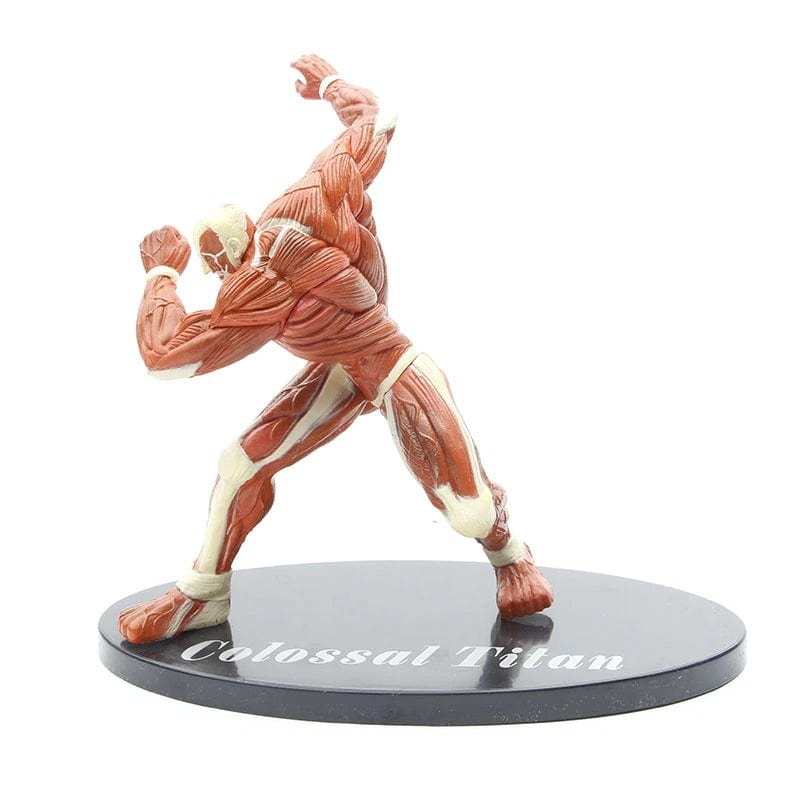 Figurine SNK Titan Colossal Royaume Figurine