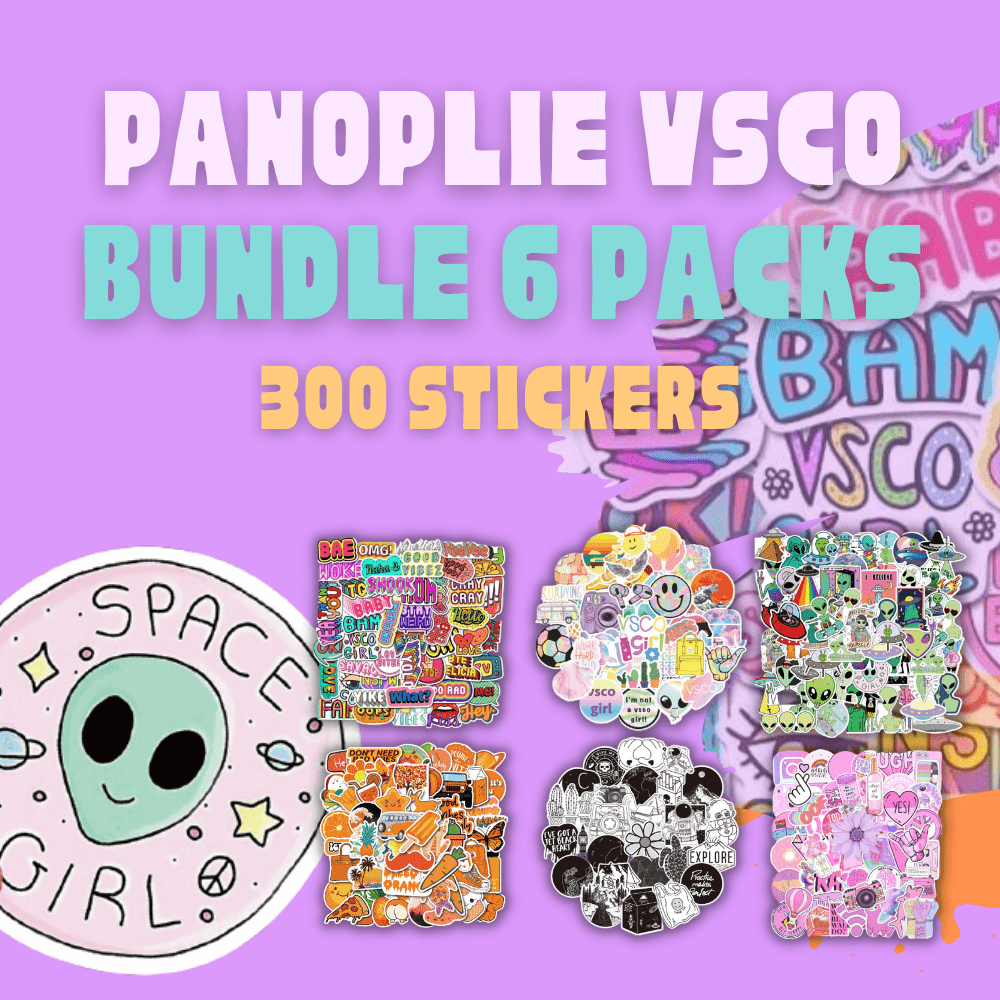 VSCO Bundle 6 Packs <br> (300 Stickers)